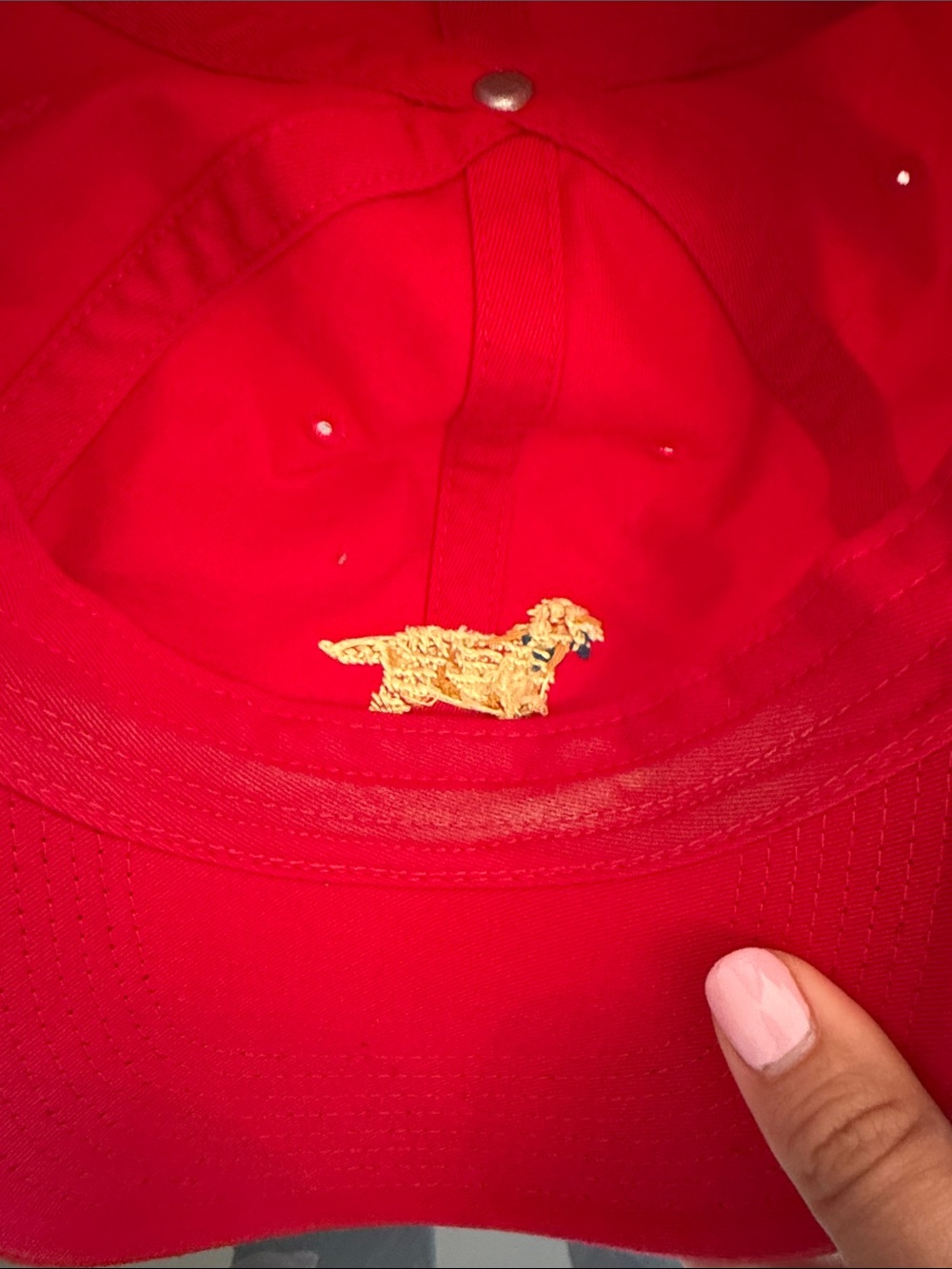 Red Baseball Cap with Embroidered Dog Motif - Picture 3 of 6